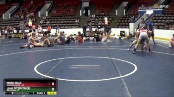 155 lbs Semis & 1st Wrestleback (8 Team) - Liam Fitzpatrick, Rockford vs Noah Hall, Michigan Mafia