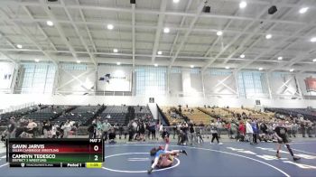 81 lbs Round 4 - Camryn Tedesco, District 3 Wrestling vs Gavin Jarvis, Salem Cambridge Wrestling