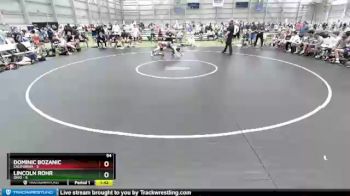 94 lbs Round 3 (8 Team) - Dominic Bozanic, California vs Lincoln Rohr, Ohio