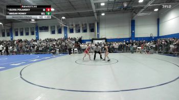 100 lbs Quarterfinal - Olivia Polansky, Bridgewater-Raynham vs Megan Roney, Wellesley