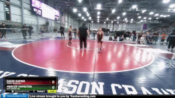 108 lbs Quarterfinal - Mercer Hamilton, Mat Demon WC vs David Rapier, Priest River WC