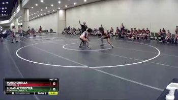106 lbs Placement (16 Team) - Lukas Altstetter, Illinois Top Dawgs vs Mario Dibella, NFWA Red