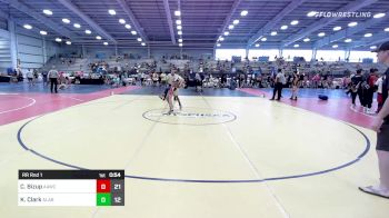 95 lbs Rr Rnd 1 - Carter Bizup, All-American Wrestling Club vs Kaden Clark, Alabama Elite