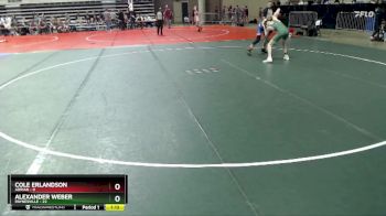 125 lbs Placement (4 Team) - Cole Erlandson, Adrian vs Alexander Weber, Paynesville