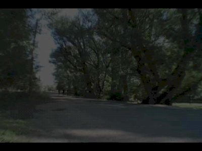 Chasing Kimbia - Season 3 Trailer