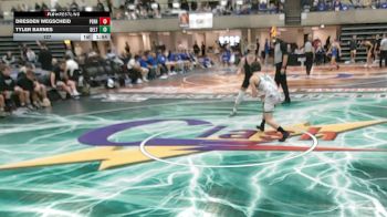 127 lbs Quarterfinals (8 Team) - Tyler Barnes, Delta, OH vs Dresden Wegscheid, Perham, MN