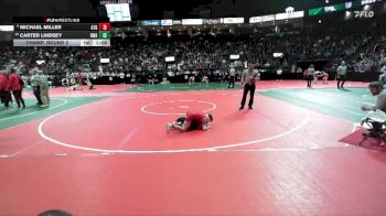 84 lbs Champ. Round 3 - Carter Lindsey, DWA vs Michael Miller, ATGA