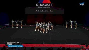 Florida Top Dog All Stars - Frost [2025 L2 Junior - Small Semis] 2025 The Summit
