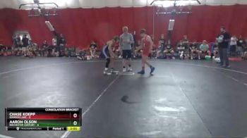 113 lbs Semis & 1st Wb (8 Team) - Chase Koepp, Random Lake vs Aaron Olson, Rochester Century