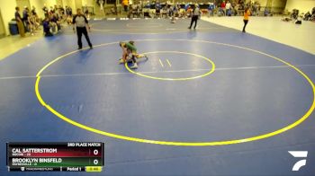 65 lbs Finals (8 Team) - Cal Satterstrom, Rocori vs Brooklyn Binsfeld, Paynesville