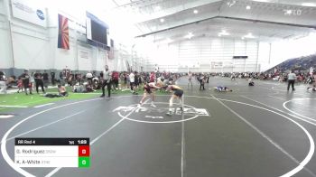 106 lbs Rr Rnd 4 - Gabriel Rodriguez, Osoway vs Kaeden Adson-White, Other Team