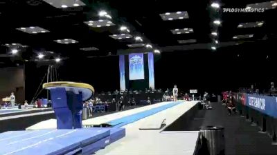 Arthur Ashton - Vault, Region 5 - 2021 Winter Cup & Elite Team Cup
