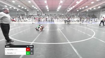 85 lbs Rr Rnd 1 - Cidney Schaffer, Mat Assassins Red vs Luca Donello, Pursuit Wrestling Academy - Silver