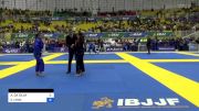 ANDRESSA DA SILVA vs EMILY LYNN 2023 Brasileiro Jiu-Jitsu IBJJF