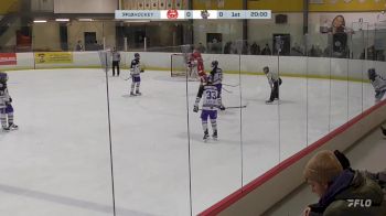 Replay: Home - 2024 Greyhounds U14 vs CO Wolves U14 | Nov 30 @ 11 AM