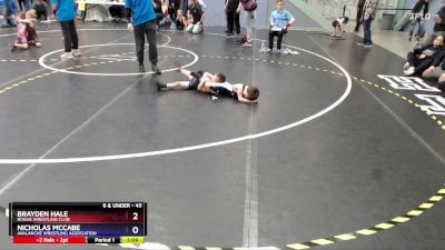 45 lbs 2nd Place Match - Nicholas McCabe, Avalanche Wrestling Association vs Brayden Hale, Rogue Wrestling Club