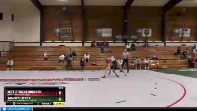 125 lbs Semifinal - Tanner Ulrey, Umpqua Community College vs Jett Strickenberger, North Idaho College
