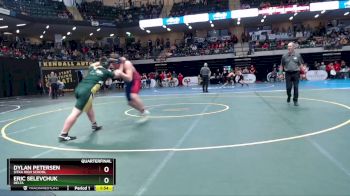 285 lbs Quarterfinal - Eric Selevchuk, Delta vs Dylan Petersen, Sitka High School