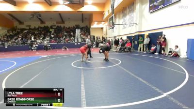 185 lbs Round 5 - Lyla Tree, Red Mesa vs Bree Roanhorse, Ganado