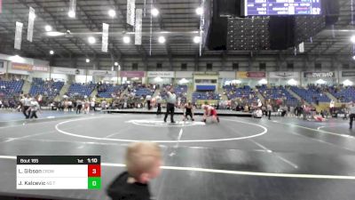 165 lbs Final - Levi Gibson, Crowley County vs Jeremiah Kalcevic, No Team