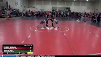 45 lbs Cons. Round 2 - Jaxon Voss, Brainerd Warriors vs Anton Brown, Hastings Wrestling Club