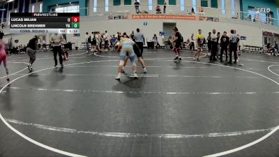 132 lbs Cons. Round 5 - Lincoln Brehmer, Yulee vs Lucas Milian, Eagle Empire