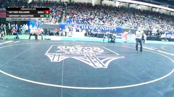 D1-165 lbs 1st Place Match - Jay`Den Williams, Roseville vs Anthony Madafferi, Novi