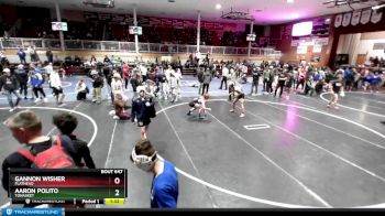 132 lbs Quarterfinal - Aaron Polito, Tonasket vs Gannon Wisher, Flathead