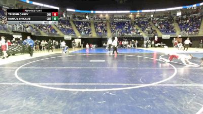 175 lbs Consy 1 - Tristan Casey, Chestnut Ridge vs Kanaje Brickus, Central Dauphin