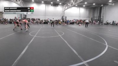 113 lbs Round 1 (4 Team) - Quinn Greenstreet, Sly Fox vs Noah Anahory, New England Gold
