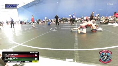 96 lbs Quarterfinal - Eli Anderson, South Dakota vs Jace Sharples, Ogden`s Outlaws