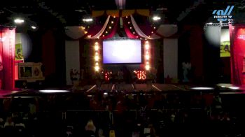 Revolution Athletics Allstars - ADRENALINE [2024 L2 Senior - D2 Day 1] 2024 ASC Battle Under the Big Top Grand Nationals