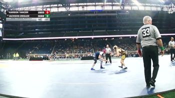 D3-150 lbs 3rd Place Match - Karson Yancer, Sanford Meridian vs Jackson Ziegler, Ogemaw Heights