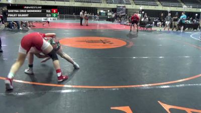 125 lbs Quarterfinal - Sheyna Cruz Menendez, Paulsboro vs Finley Gilbert, Clearfield