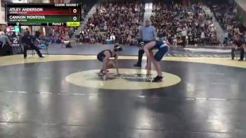 138 lbs Champ. Round 1 - Cannon Montoya, Slam! Nevada vs Atley Anderson, Spring Valley