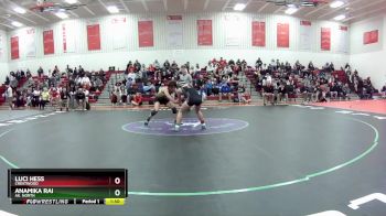 100 lbs Quarterfinal - Anamika Rai, Ak. North vs Luci Hess, Crestwood