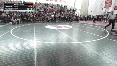 132 lbs Round Of 16 - Anthony Celio, Somerset Berkley vs Jackson Cody, Northeast Metro Tech/Bishop Fenwick