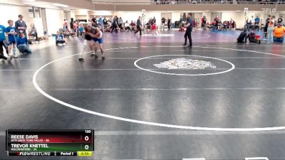 130 lbs Finals (8 Team) - Reese Davis, NYM (New York Mills) vs Trevor Knettel, Holdingford