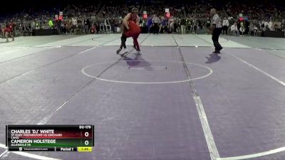 D2-175 lbs Champ. Round 1 - Charles `DJ` White, St Mary Preparatory HS (Orchard Lake) vs Cameron Holstege, Allendale HS