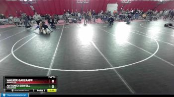 132 lbs Cons. Semi - Walker Gaulrapp, Minnesota vs Antonio Sowell, Wisconsin