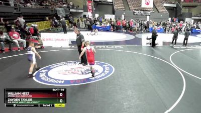 85 lbs Semifinal - Zayden Taylor, Elk Grove Wrestling Academy vs William Hesz, Spring Hills Wrestling