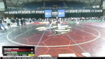 127 lbs Cons. Round 3 - Macijean Hodgin, Washington vs Teagan Brown, Fife Thunder Wrestling