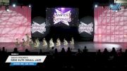 Dance Dynamics - Mini Elite Small Jazz [2024 Mini - Jazz - Small 2] 2024 JAMfest Dance Super Nationals