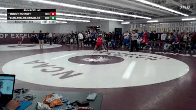 125 lbs Cons. Round 1 - Luis Avalos-Ceballos, Central vs Bobby Rutkoff, Luther