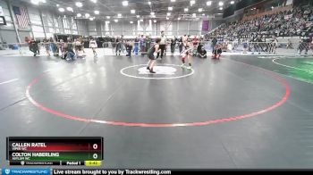 92-97 lbs Round 3 - Callen Ratel, Viper WC vs Colton Haberling, Asylum WC
