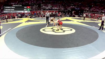 D3-113 lbs Cons. Round 1 - Ayden O`Dell, Pleasant vs Mason King, Rootstown