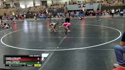 100 lbs Cons. Round 3 - Doria Hamlet, Williamson Co Wrestling Club vs Camila Malave, Seymour Wrestling