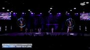 Fierce X Dance - Fierce Youth Lions [2025 Youth - Premier - Variety Day 3] 2025 WSF Grand Nationals