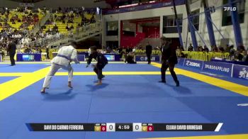 Elijah David Brinegar vs Davi Do Carmo Ferreira 2025 World Jiu-Jitsu IBJJF Championship