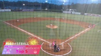 Replay: Flamingos vs Macon Bacon | Jul 4 @ 7 PM